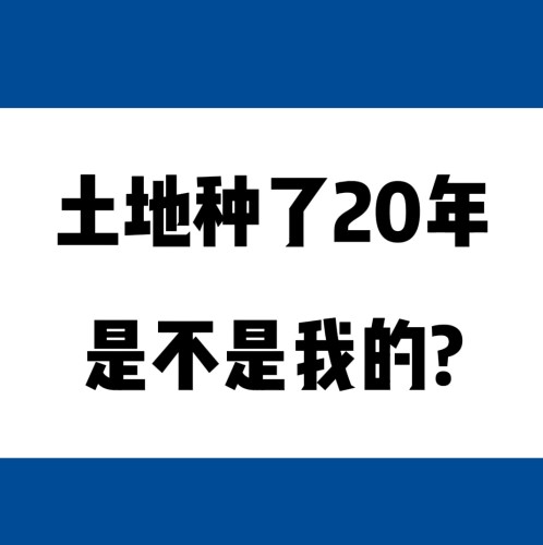 20꣬ǲҵ