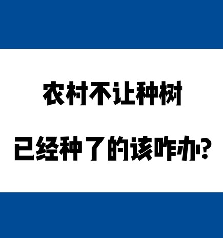 ũ岻ˣѾ˵ô죿