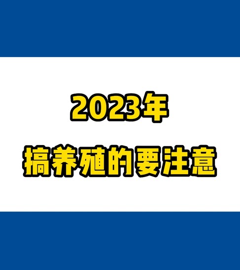 2023ֳ꣬Ҫע