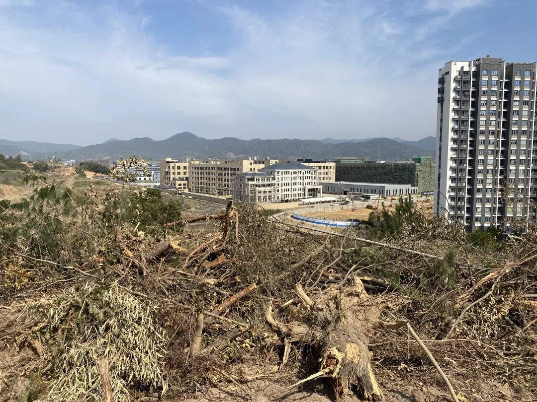 ԼҳаرǷռãνάȨ